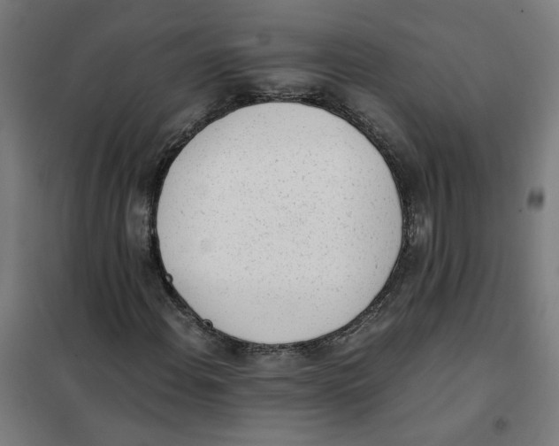 X0000101681108200808071102