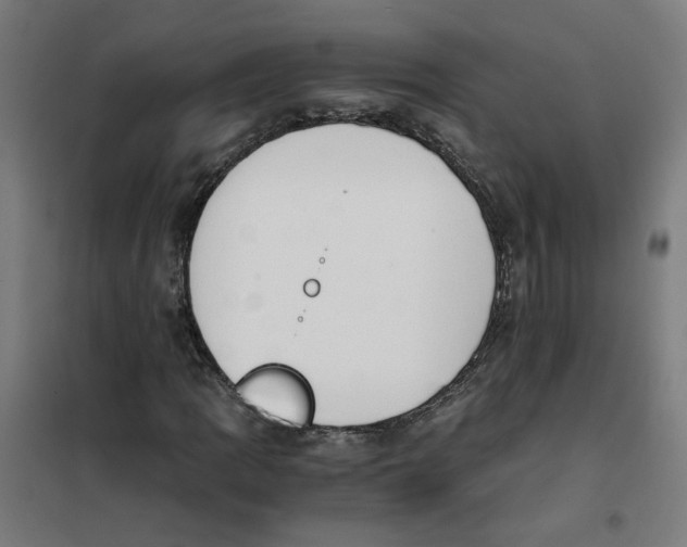 X0000101681109200808071102
