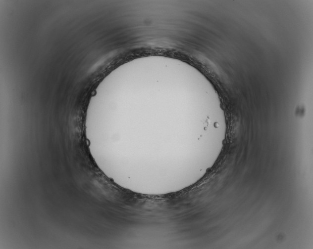X0000101681110200808071102