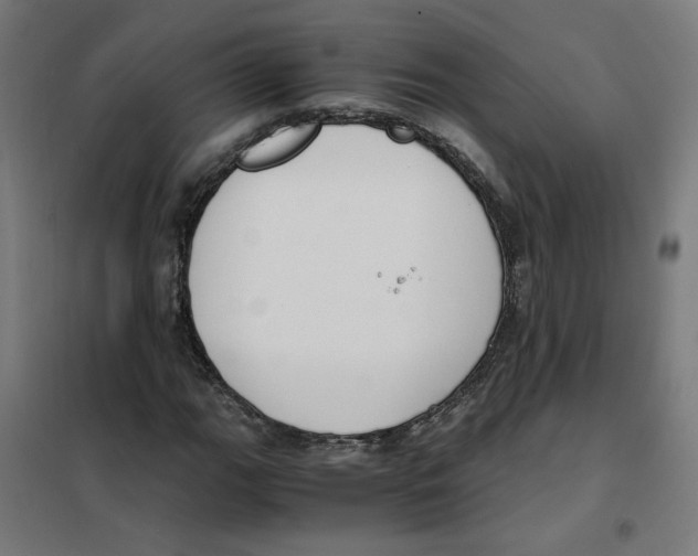 X0000101681111200808071102