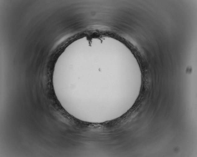 X0000101681112200808071102