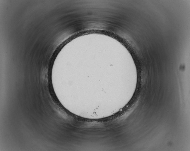 X0000101681113200808071102