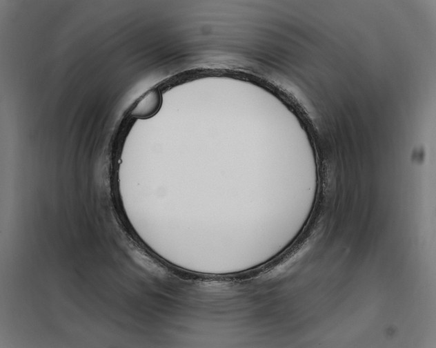 X0000101681114200808071102
