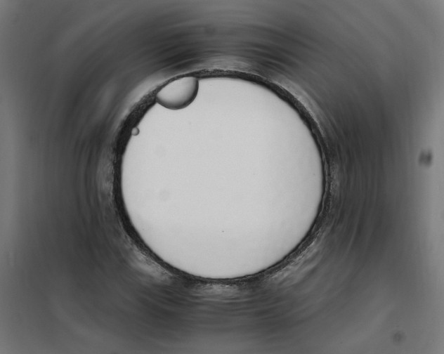 X0000101681115200808071102