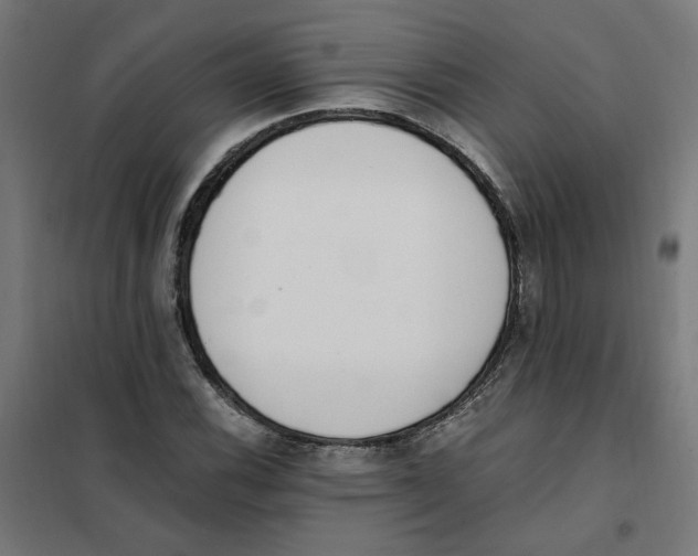 X0000101681116200808071102