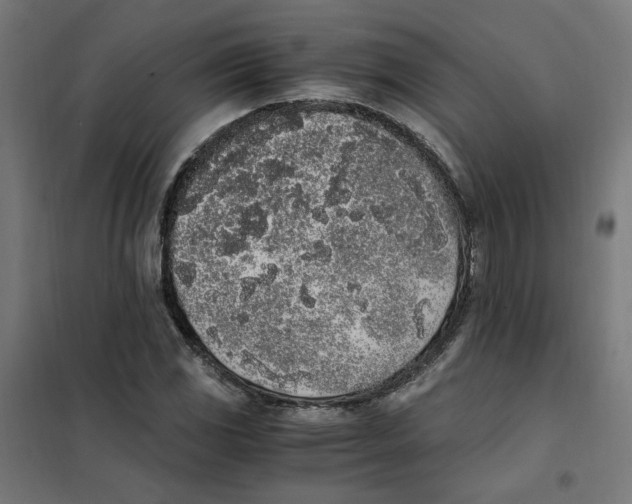 X0000101681117200808071102
