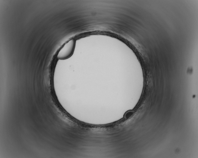 X0000101681118200808071102
