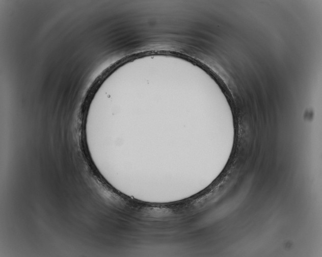 X0000101681119200808071102