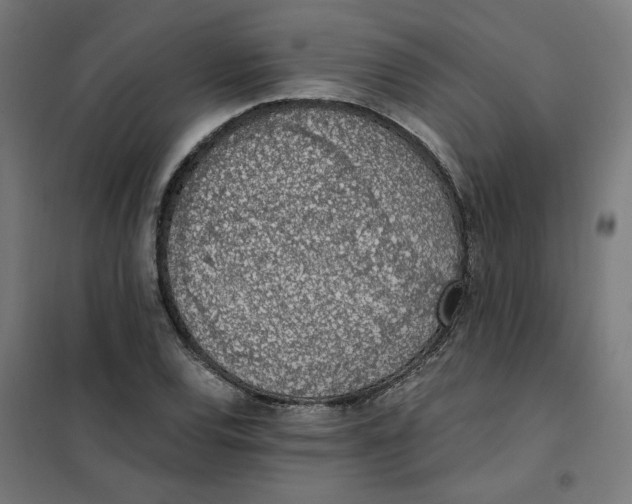 X0000101681120200808071102