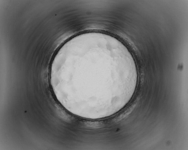 X0000101681121200808071102