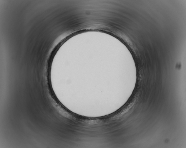 X0000101681122200808071102