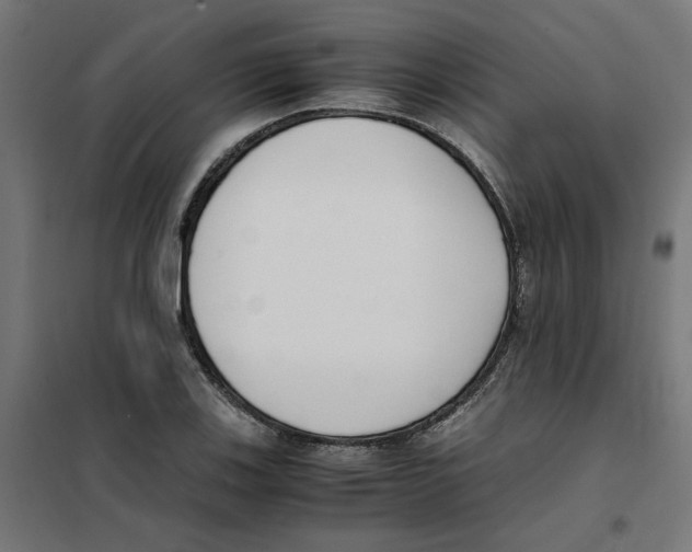 X0000101681123200808071102