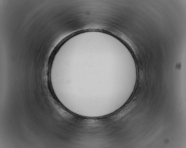 X0000101681124200808071102