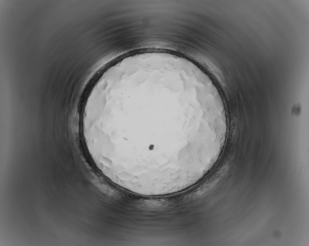 X0000101681125200808071102