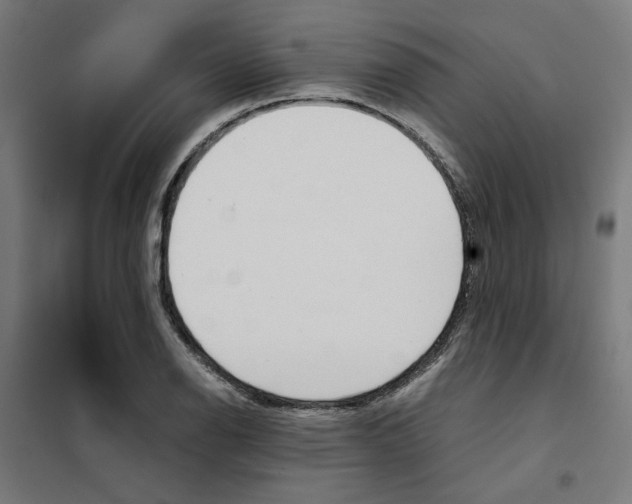 X0000101681126200808071102