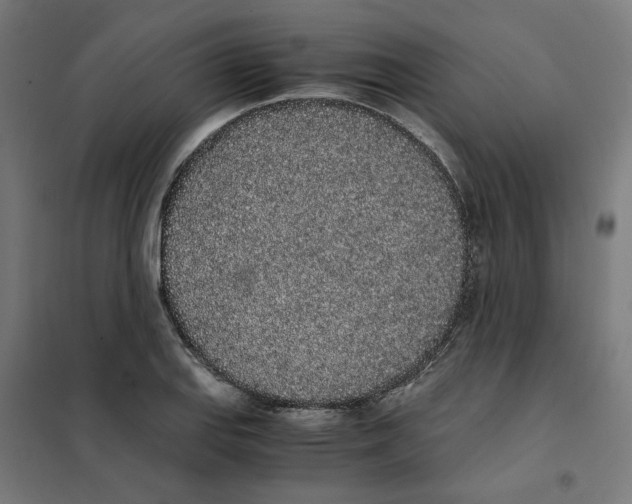 X0000101681127200808071102