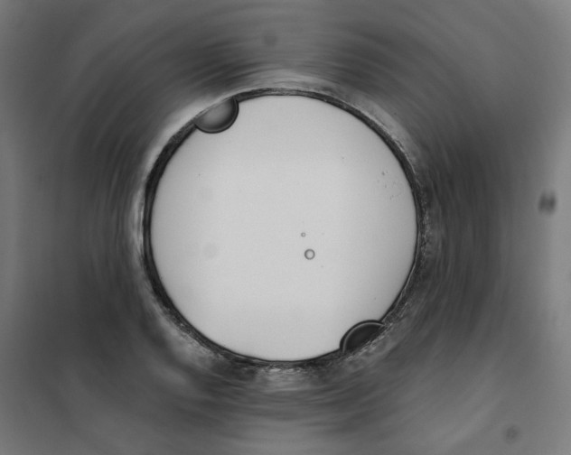 X0000101681128200808071102