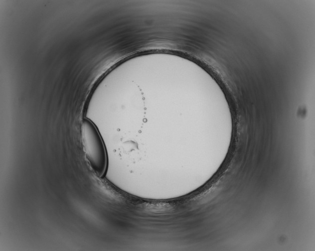 X0000101681129200808071103