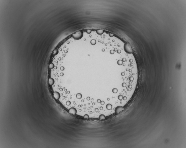 X0000101681130200808071103