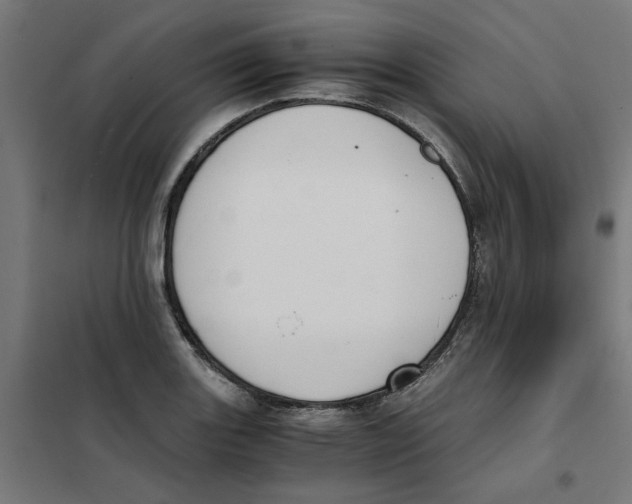 X0000101681131200808071103