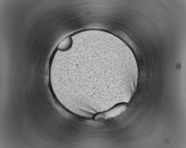 X0000101681132200808071103