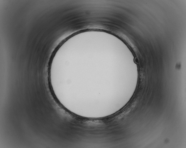 X0000101681133200808071103