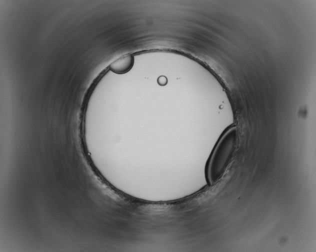 X0000101681134200808071103