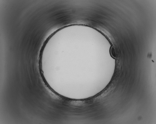 X0000101681135200808071103