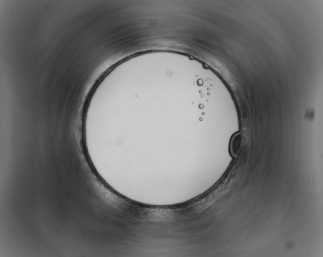 X0000101681136200808071103