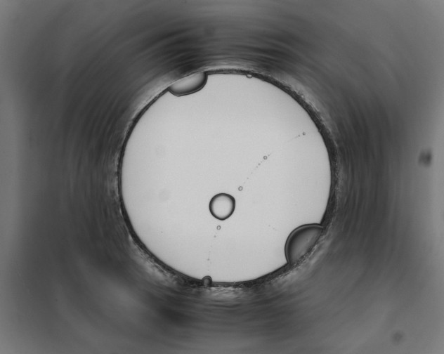 X0000101681137200808071103