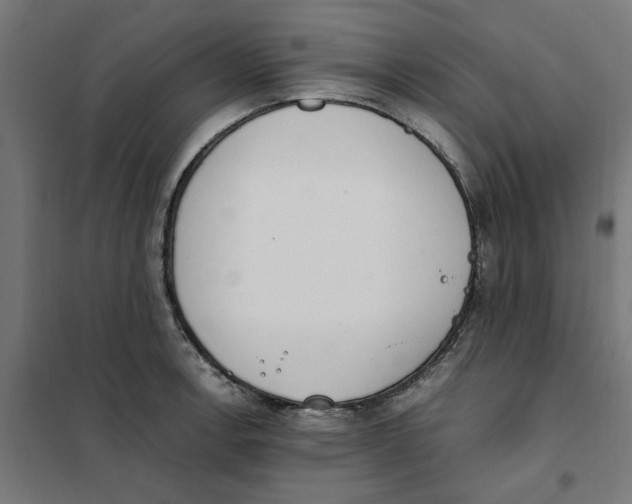 X0000101681138200808071103