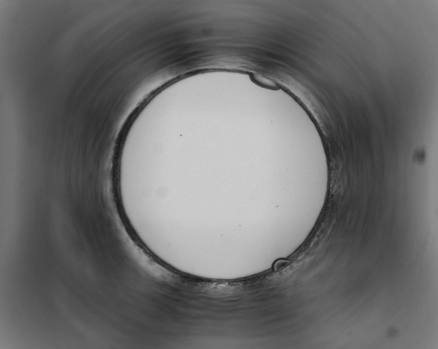 X0000101681139200808071103