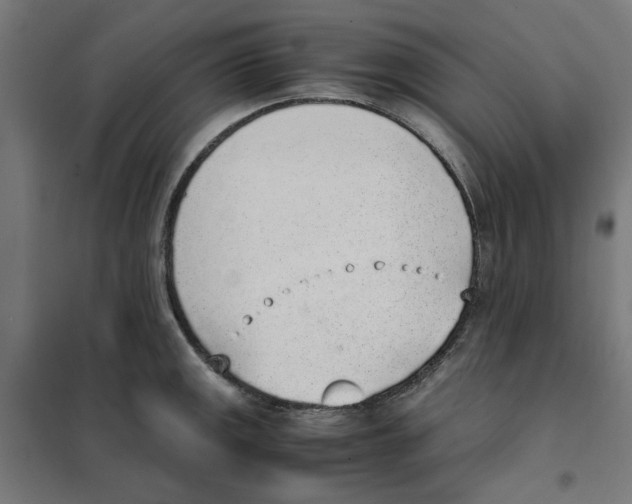X0000101681141200808071103