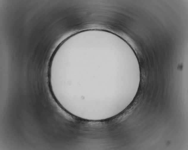 X0000101681142200808071103