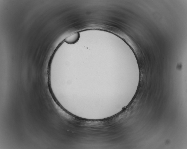 X0000101681143200808071103