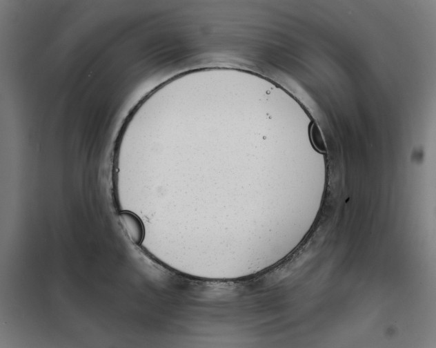 X0000101681144200808071103