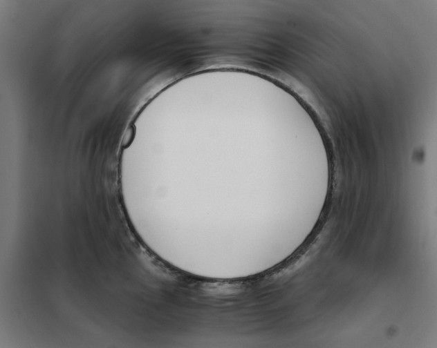 X0000101681145200808071103