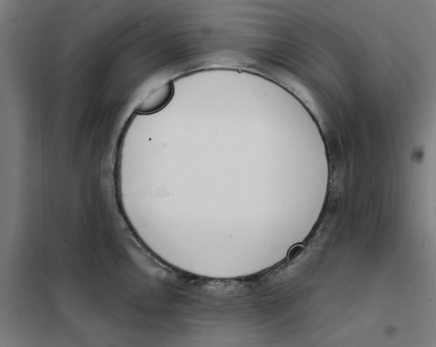 X0000101681146200808071103