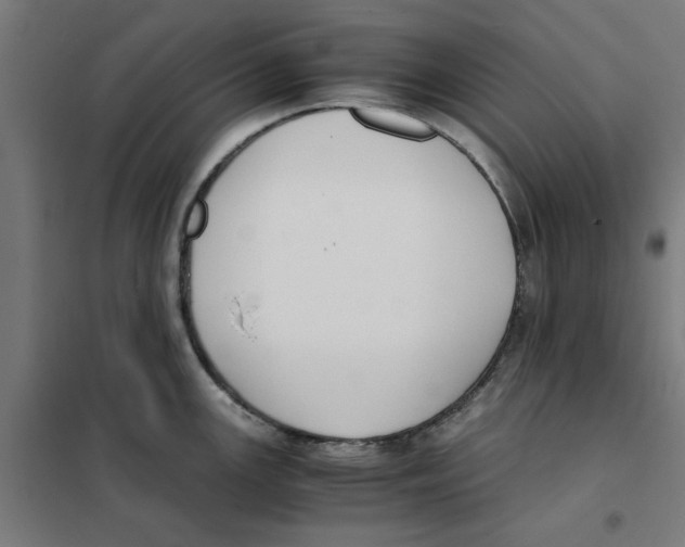 X0000101681147200808071103