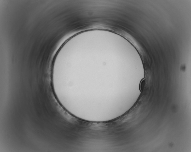 X0000101681148200808071103