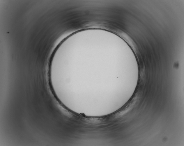 X0000101681149200808071103