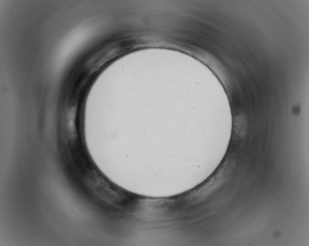 X0000101681150200808071103