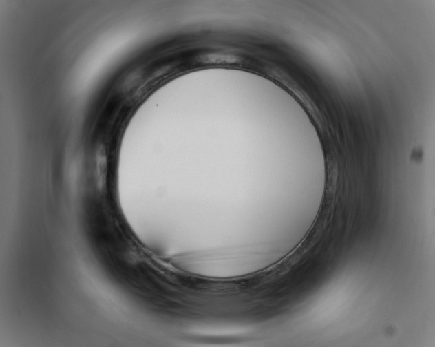 X0000101681151200808071103