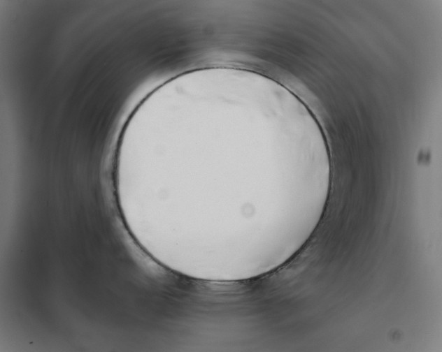 X0000101681152200808071103