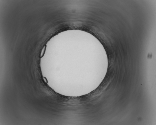 X0000101681153200808071102