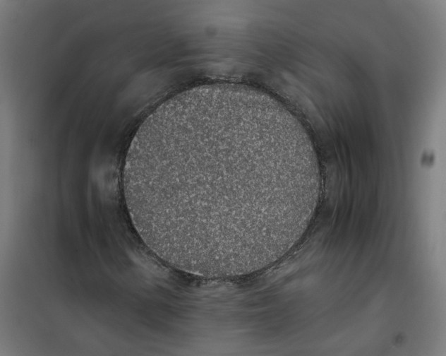 X0000101681154200808071102
