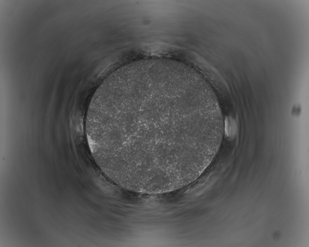 X0000101681155200808071102