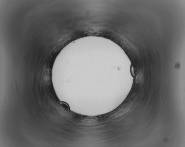 X0000101681156200808071102