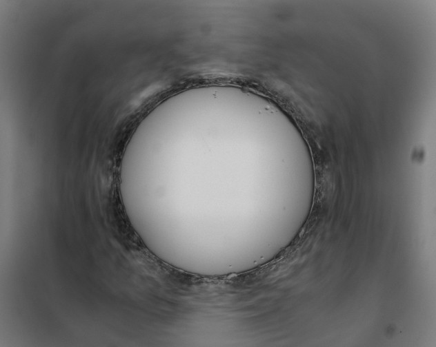 X0000101681157200808071102