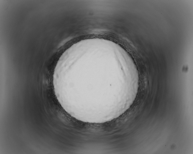 X0000101681158200808071102
